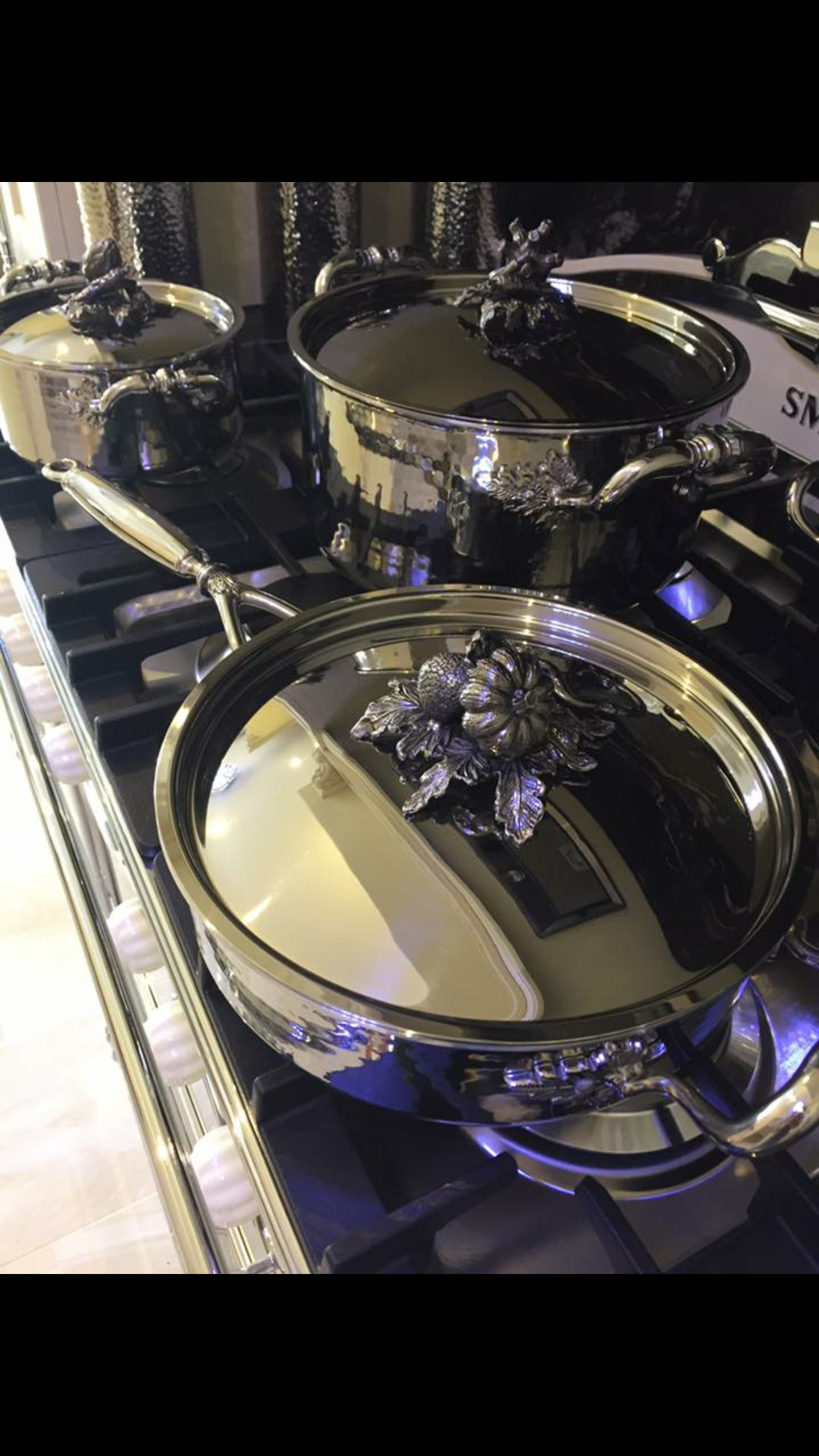 Set of four cooking pots ( silver/charcole vegetable)