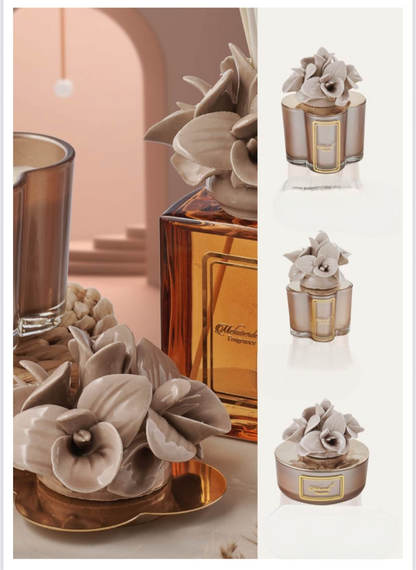 Capodimonte  mocha candle orchid